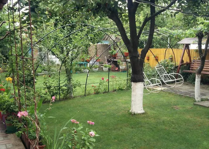 Casa Olga Homestay 2 Mai