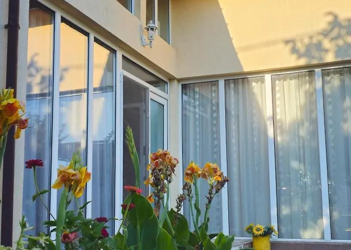 Casa Olga Homestay 2 Mai